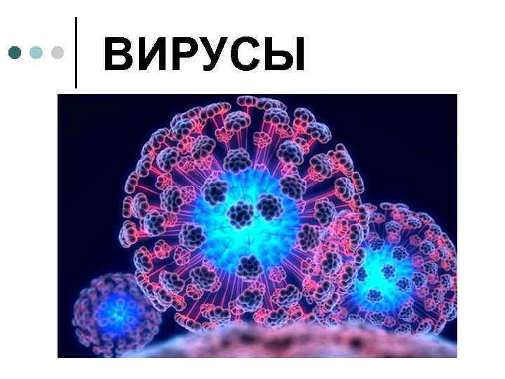 ВИРУСЫ 