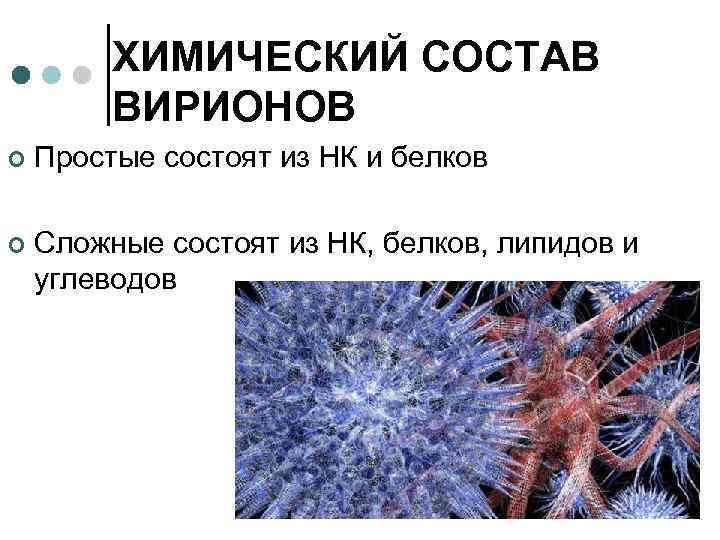 ХИМИЧЕСКИЙ СОСТАВ ВИРИОНОВ ¢ Простые состоят из НК и белков ¢ Сложные состоят из