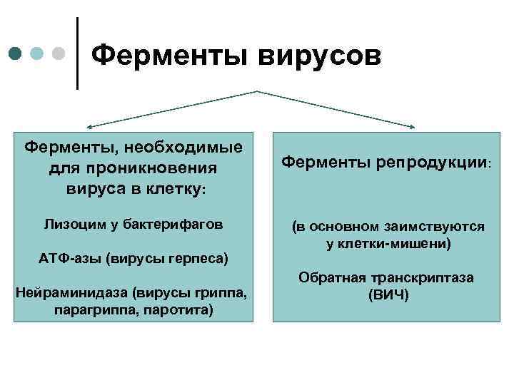 Ферменты вирусов Ферменты, необходимые для проникновения вируса в клетку: Лизоцим у бактерифагов АТФ-азы (вирусы