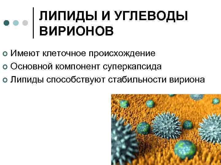 ЛИПИДЫ И УГЛЕВОДЫ ВИРИОНОВ Имеют клеточное происхождение ¢ Основной компонент суперкапсида ¢ Липиды способствуют