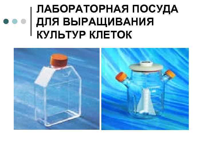 ЛАБОРАТОРНАЯ ПОСУДА ДЛЯ ВЫРАЩИВАНИЯ КУЛЬТУР КЛЕТОК 