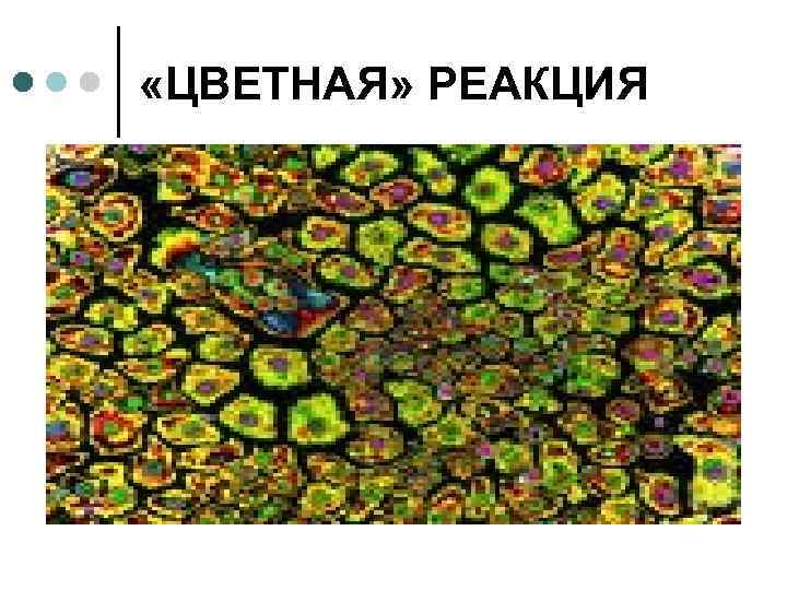  «ЦВЕТНАЯ» РЕАКЦИЯ 