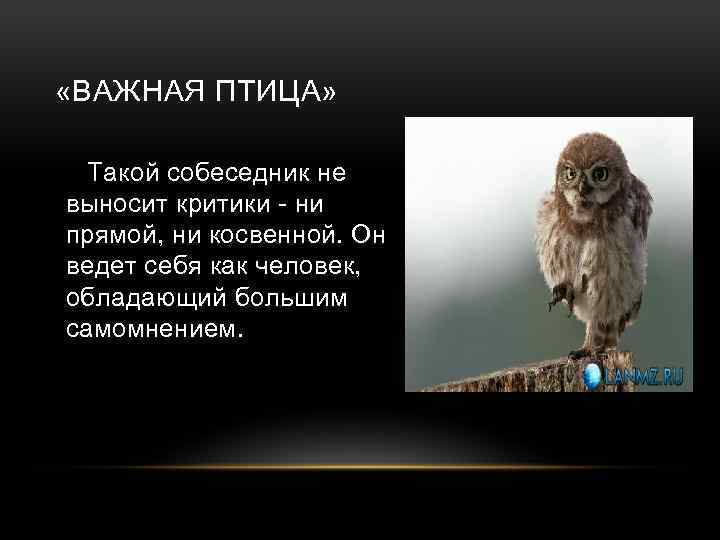  «ВАЖНАЯ ПТИЦА» Такой собеседник не выносит критики - ни прямой, ни косвенной. Он