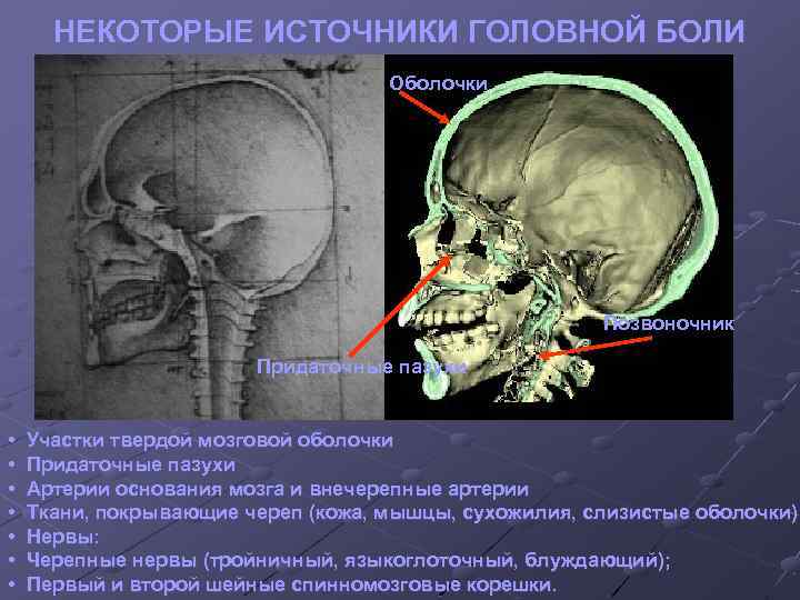 Болят мышцы затылок основание черепа