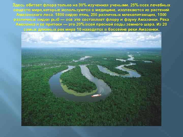 Здесь обитает флора только на 30% изученная учеными. 25% всех лечебных веществ мира, которые