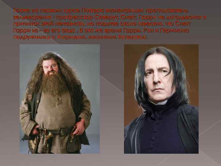 Также на первом курсе Поттера возненавидел преподаватель зельеварения - професстор Северус Снегг. Гарри не