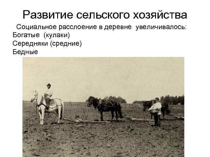 Развитие сельского хозяйства Социальное расслоение в деревне увеличивалось: Богатые (кулаки) Середняки (средние) Бедные 