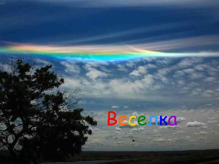 Веселка 