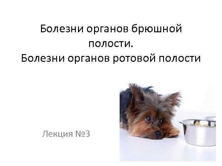 Болезни органов брюшной полости. Болезни органов ротовой полости Лекция № 3 