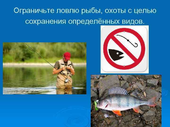 Ограничьте ловлю рыбы, охоты с целью сохранения определённых видов. 
