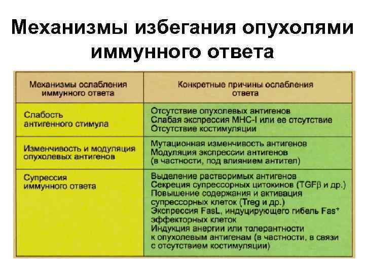 Механизмы избегания опухолями иммунного ответа 