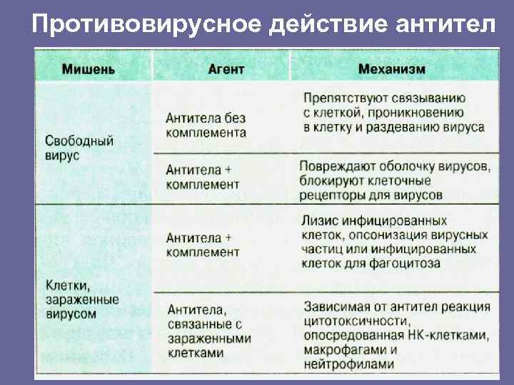 Противовирусное действие антител 