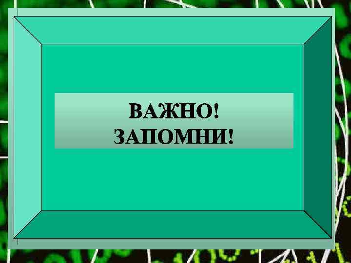 К каждому рабочему месту подведен опасный для жизни электрический ток. НЕЛЬЗЯ!!! Прикасаться к проводам