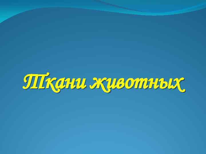 Ткани животных 