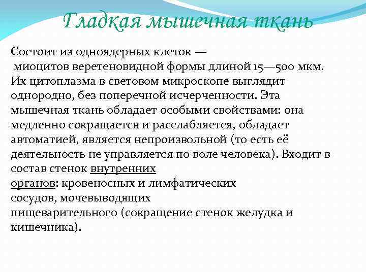 Гладкая мышечная ткань Состоит из одноядерных клеток — миоцитов веретеновидной формы длиной 15— 500
