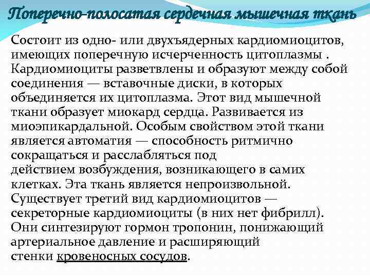 Поперечно-полосатая сердечная мышечная ткань Состоит из одно- или двухъядерных кардиомиоцитов, имеющих поперечную исчерченность цитоплазмы.