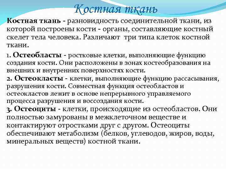 Костная ткань - разновидность соединительной ткани, из которой построены кости - органы, составляющие костный