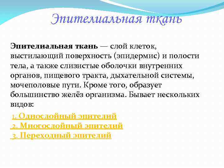 Эпителиальная ткань — слой клеток, ткань выстилающий поверхность (эпидермис) и полости тела, а также