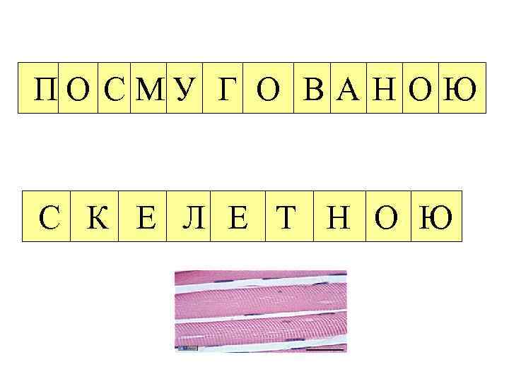 ПО С МУ Г О В А Н О Ю С К Е Л