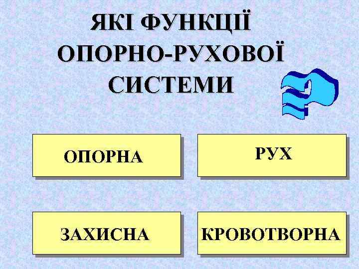 ЯКІ ФУНКЦІЇ ОПОРНО-РУХОВОЇ СИСТЕМИ ОПОРНА РУХ ЗАХИСНА КРОВОТВОРНА 