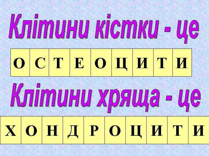 О С Т Е О Ц И Т И Х О Н Д Р