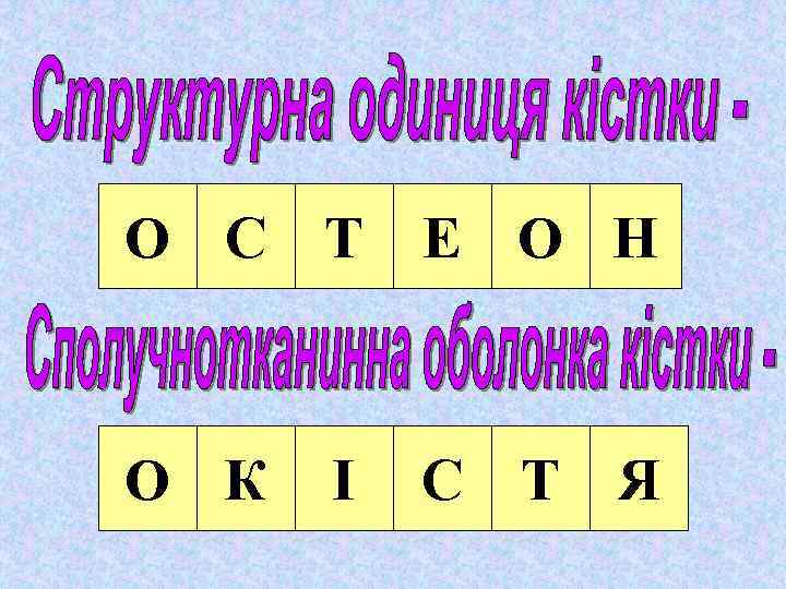 О С Т Е О Н О К С Т Я І 