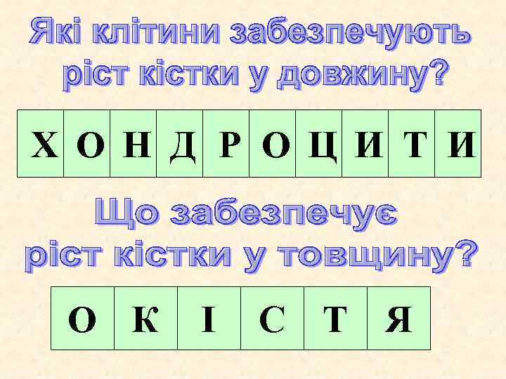 Х О Н Д Р О Ц И Т И О К І С