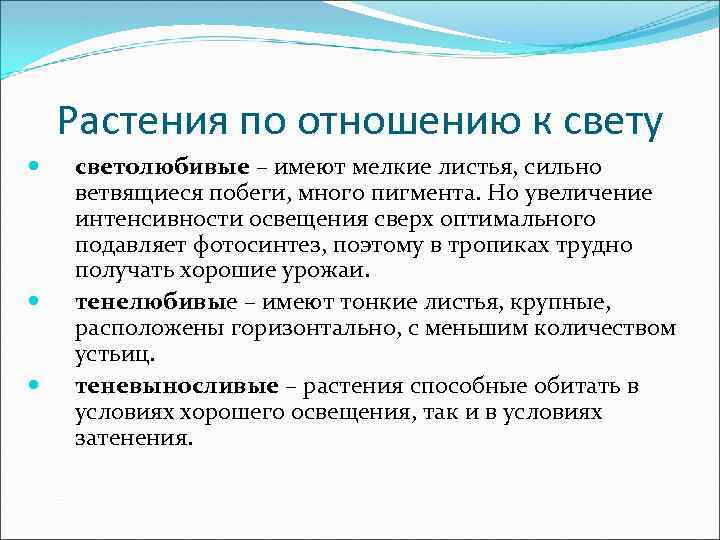 Растения по отношению к свету светолюбивые – имеют мелкие листья, сильно ветвящиеся побеги, много