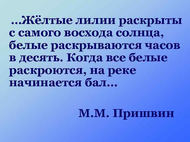 …Жёлтые лилии раскрыты с самого восхода солнца, белые раскрываются часов в десять. Когда все