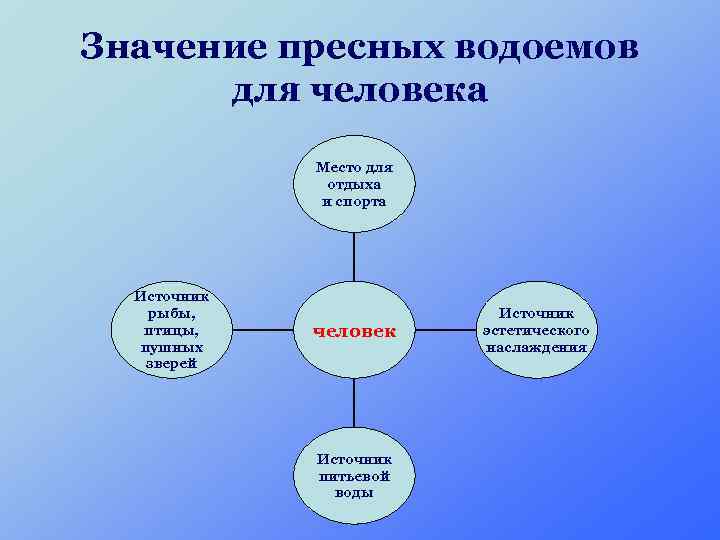 Значение пресных водоемов для человека Место для отдыха и спорта Источник рыбы, птицы, пушных