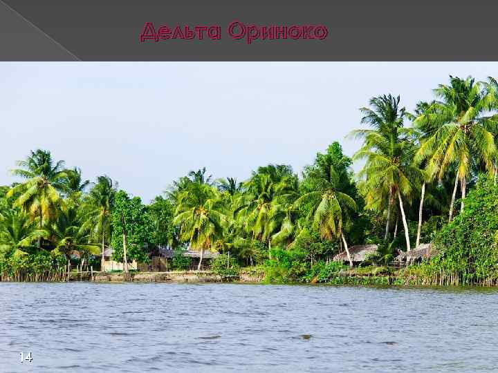 Дельта Ориноко 14 