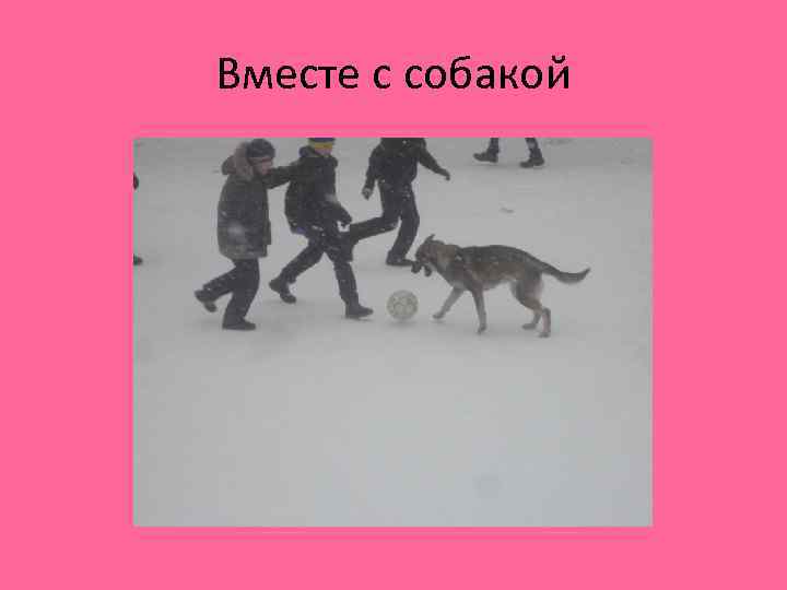 Вместе с собакой 
