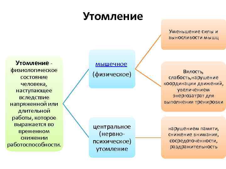 Утомление Уменьшение силы и выносливости мышц Утомление - физиологическое состояние человека, наступающее вследствие напряженной