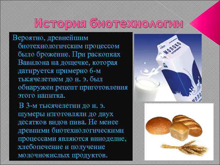 История биотехнологии Вероятно, древнейшим биотехнологичским процессом было брожение. При раскопках Вавилона на дощечке, которая