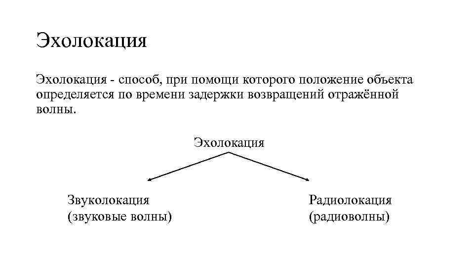 Эхолокация - способ, при помощи которого положение объекта определяется по времени задержки возвращений отражённой