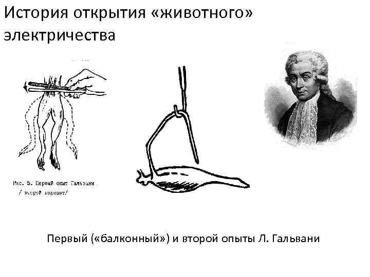 История открытия «животного» электричества Первый ( «балконный» ) и второй опыты Л. Гальвани 