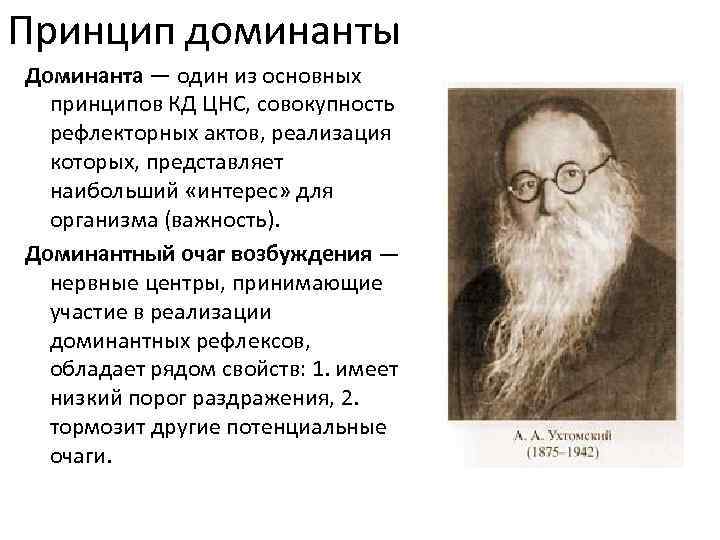 Принцип доминанты Доминанта — один из основных принципов КД ЦНС, совокупность рефлекторных актов, реализация