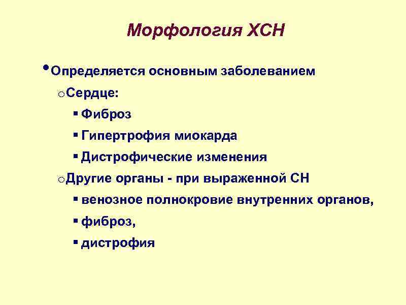 Морфология ХСН • Определяется основным заболеванием o Сердце: § Фиброз § Гипертрофия миокарда §