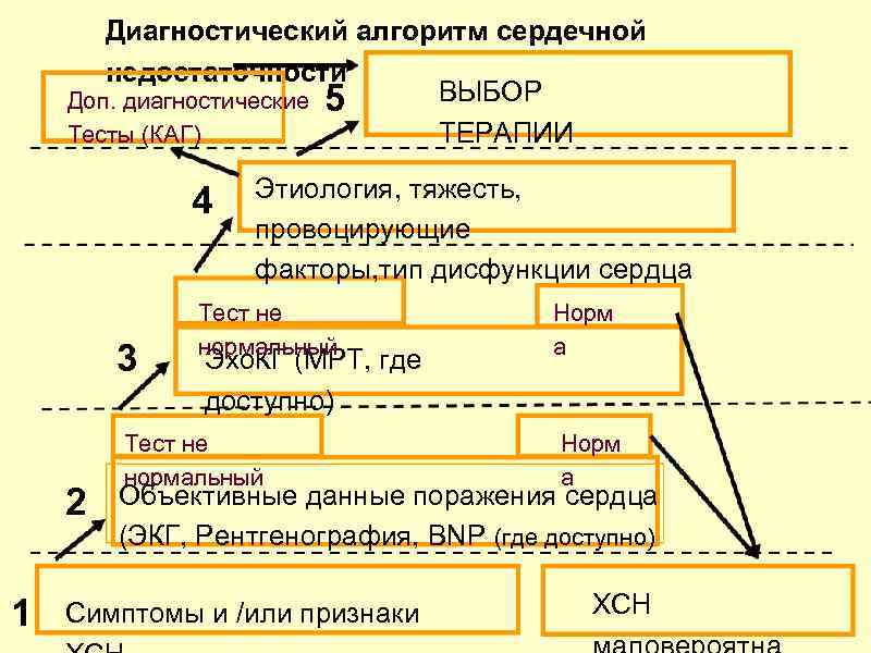 Диагностический алгоритм сердечной недостаточности ВЫБОР Доп. диагностические 5 ТЕРАПИИ Тесты (КАГ) 4 3 2