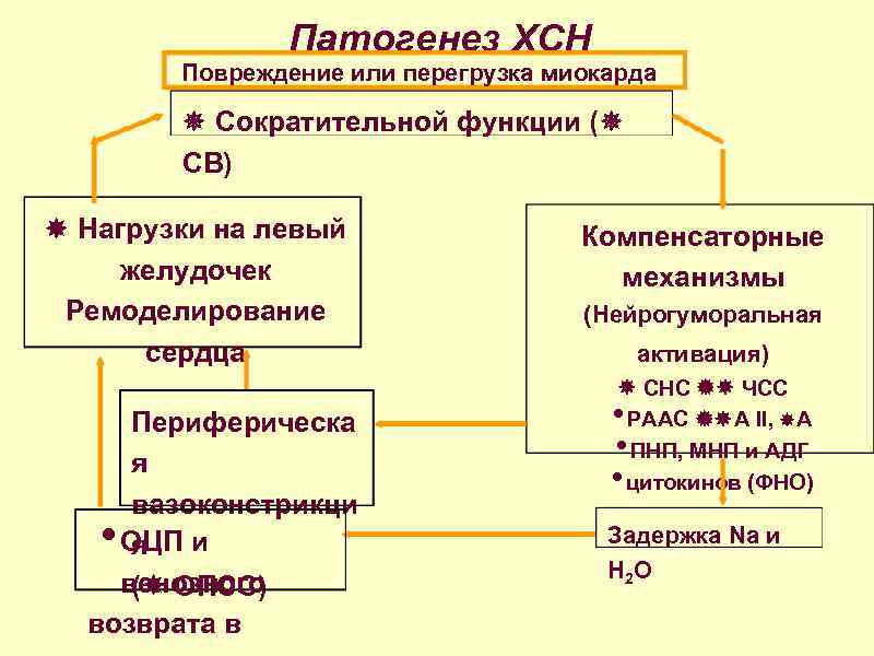 Перегрузочная сердечная недостаточность. Патогенез ХСН схема. Хронический сердечный недостаточность патогенез. Хроническая сердечная недостаточность механизм развития. Сердечная недостаточность патогенез.