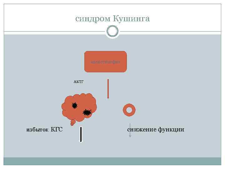 синдром Кушинга аденогипофиз АКТГ избыток КГС снижение функции 