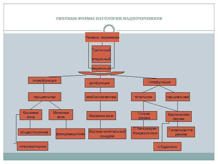 ТИПОВЫЕ ФОРМЫ ПАТОЛОГИИ НАДПОЧЕЧНИКОВ Уровень поражения Третичный вторичный первичный гиперфункция парциальная Корковая зона альдостеронизм