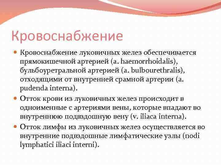 Кровоснабжение луковичных желез обеспечивается прямокишечной артерией (a. haemorrhoidalis), бульбоуретральной артерией (a. bulbourethralis), отходящими от