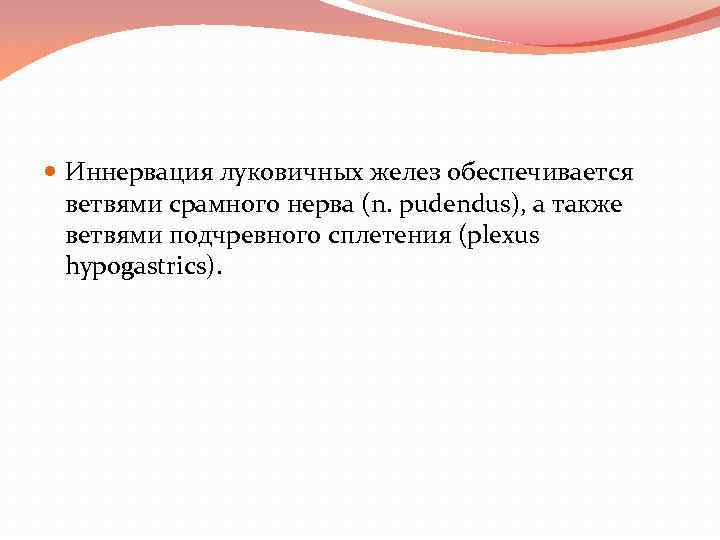  Иннервация луковичных желез обеспечивается ветвями срамного нерва (n. pudendus), а также ветвями подчревного