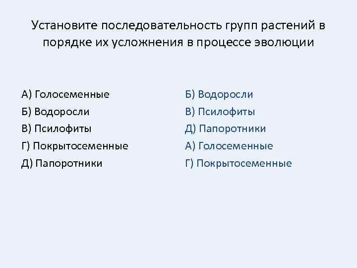 Последовательность групп животных в процессе эволюции