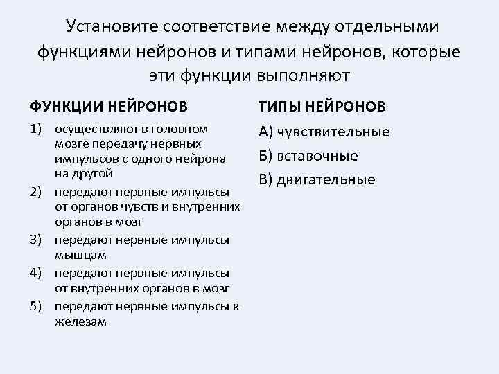 Установите соответствие между отдельными функциями нейронов и типами нейронов, которые эти функции выполняют ФУНКЦИИ