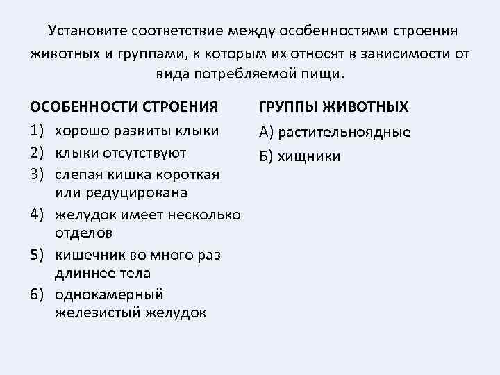 Установите соответствие между особенностями строения животных и группами, к которым их относят в зависимости