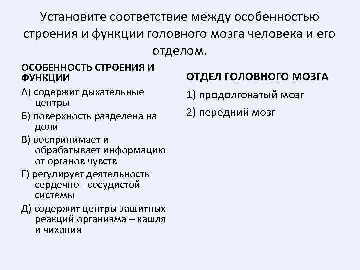 Установите соответствие между особенностью строения и функции головного мозга человека и его отделом. ОСОБЕННОСТЬ