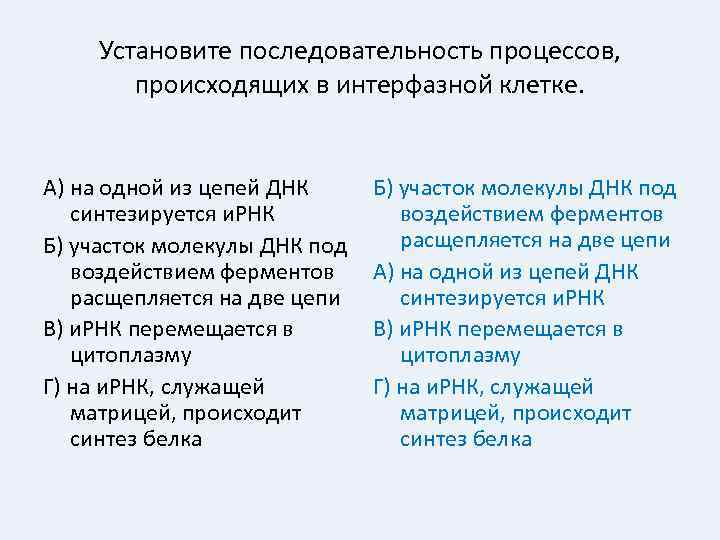 Установите последовательность процессов, происходящих в интерфазной клетке. А) на одной из цепей ДНК синтезируется