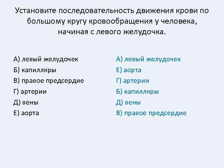 Установите последовательность движения крови по большому кругу кровообращения у человека, начиная с левого желудочка.